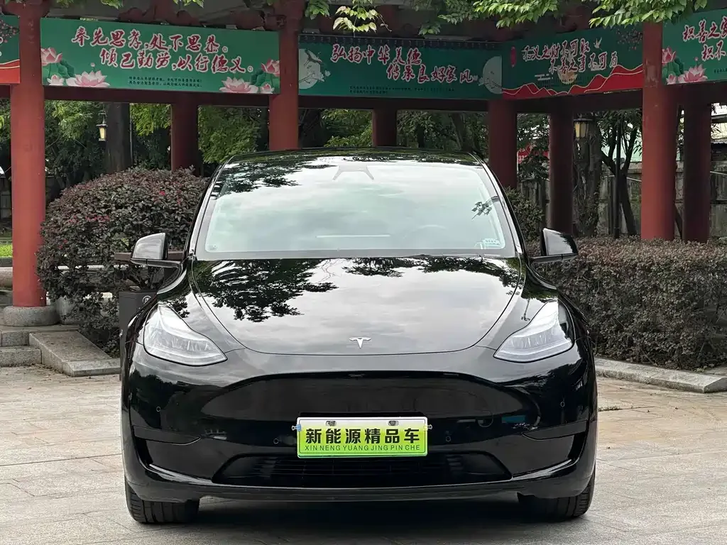 [object Object] Model Y 2023 из CN, фото 2