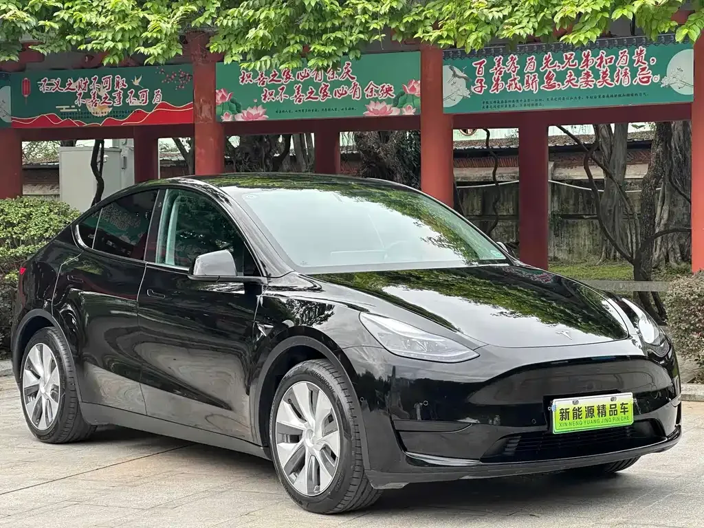 [object Object] Model Y 2023 из CN, фото 3