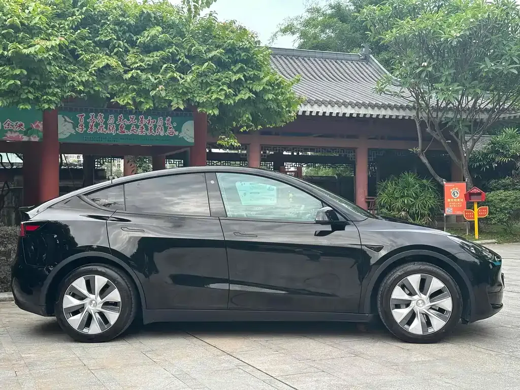 [object Object] Model Y 2023 из CN, фото 4