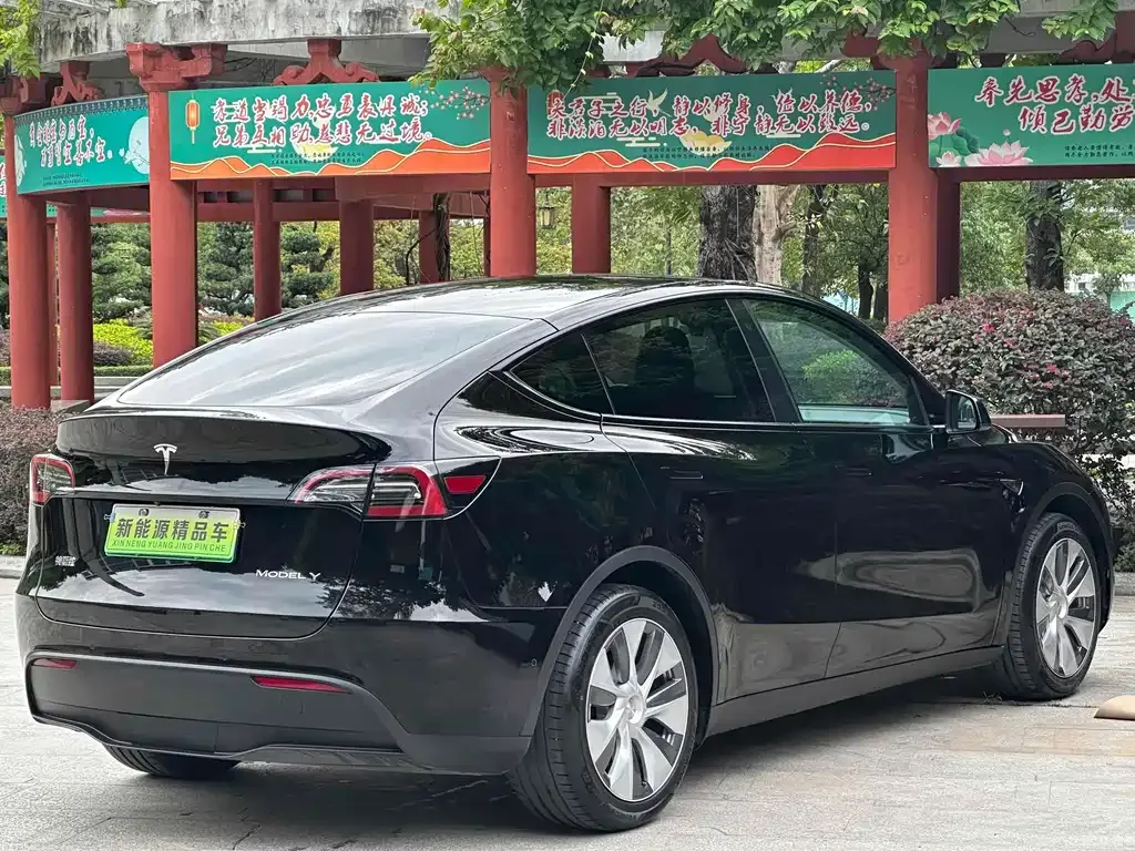 [object Object] Model Y 2023 из CN, фото 6