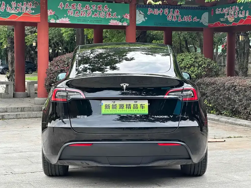 [object Object] Model Y 2023 из CN, фото 7