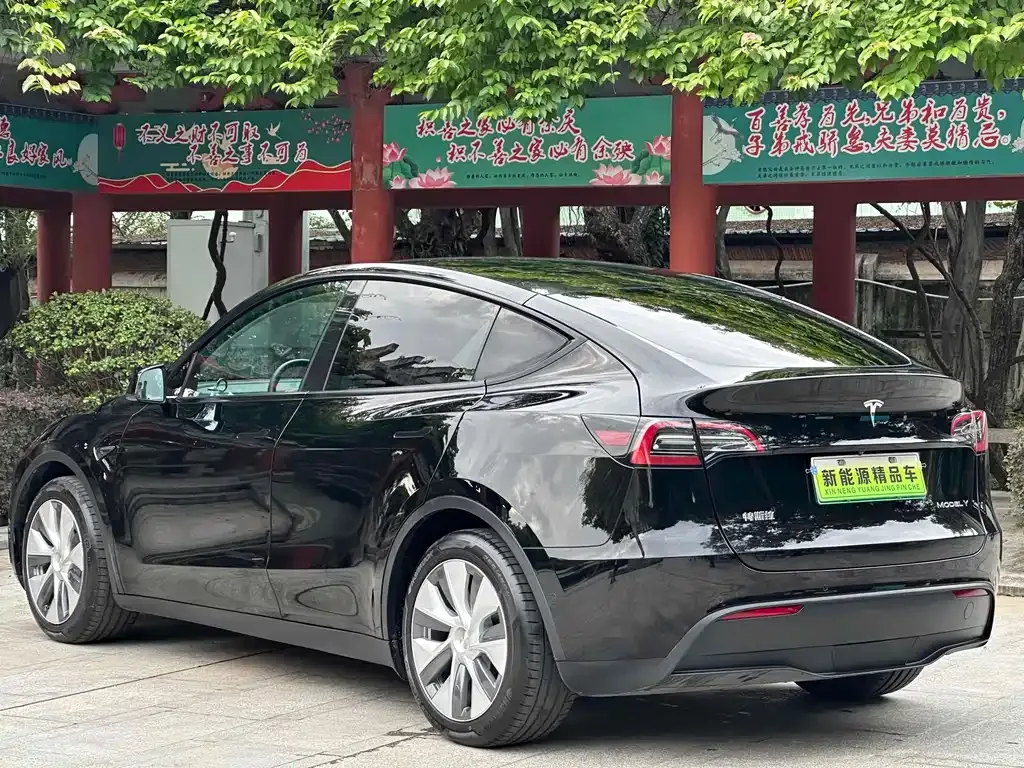 [object Object] Model Y 2023 из CN, фото 8