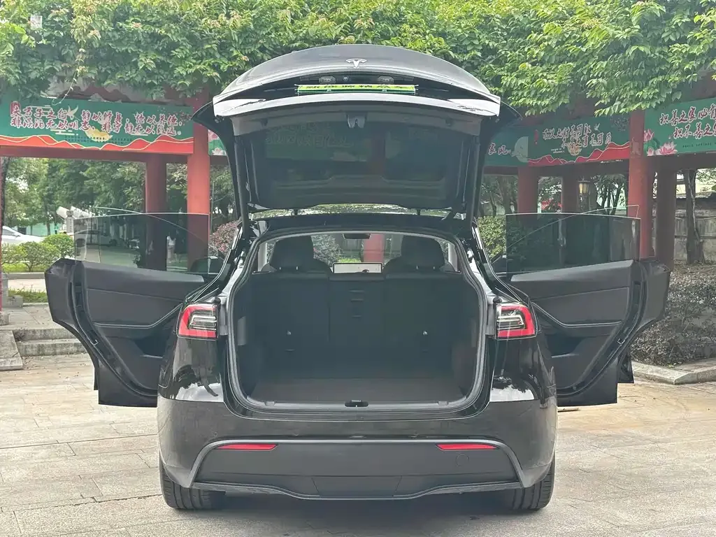 [object Object] Model Y 2023 из CN, фото 9