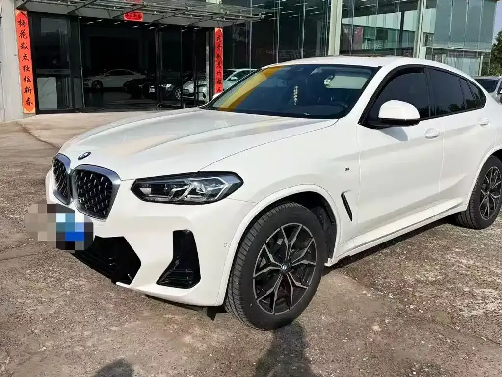 BMW X4 2023 из CN, фото 1