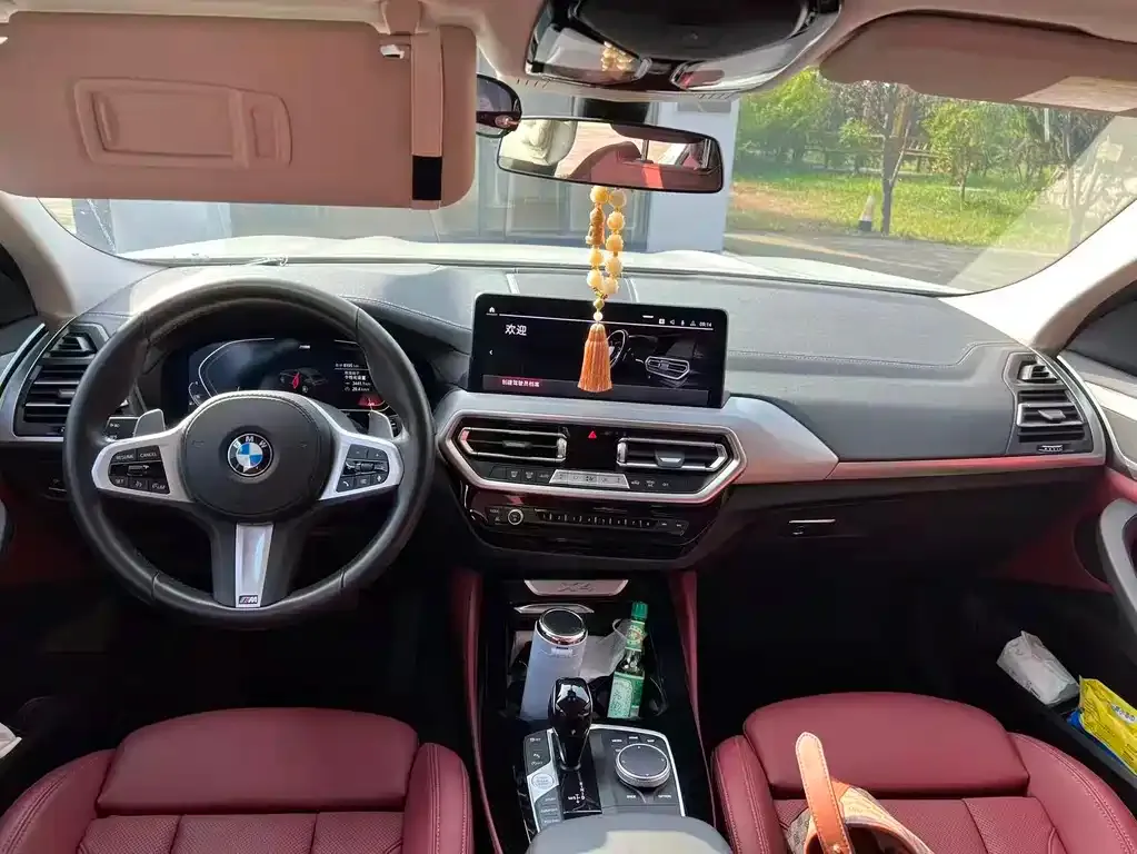 BMW X4 2023 из CN, фото 3