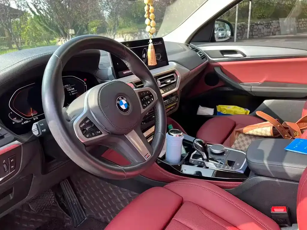 BMW X4 2023 из CN, фото 4