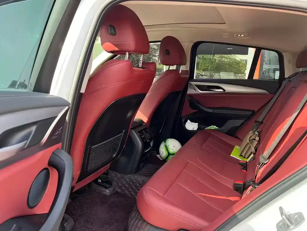 BMW X4 2023 из CN, фото 6