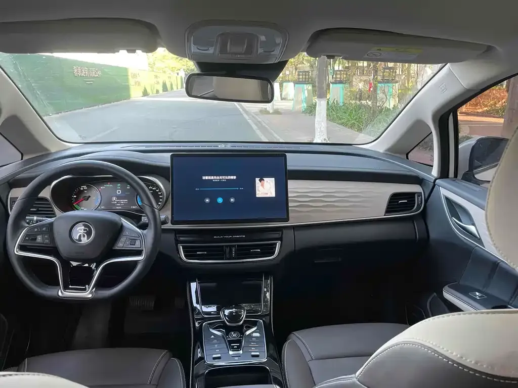 BYD MAX New Energy 2022 из CN, фото 9