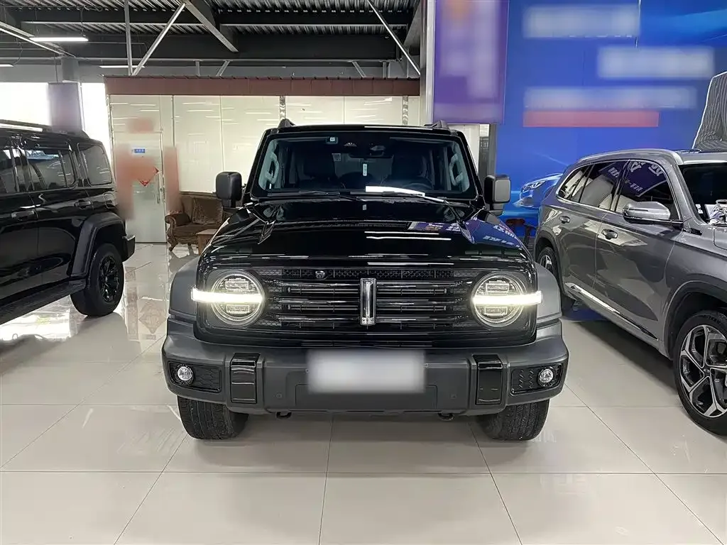 [object Object] Tank 300 2021 из CN, фото 10