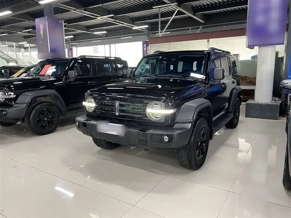 [object Object] Tank 300 2021 из CN, фото 3