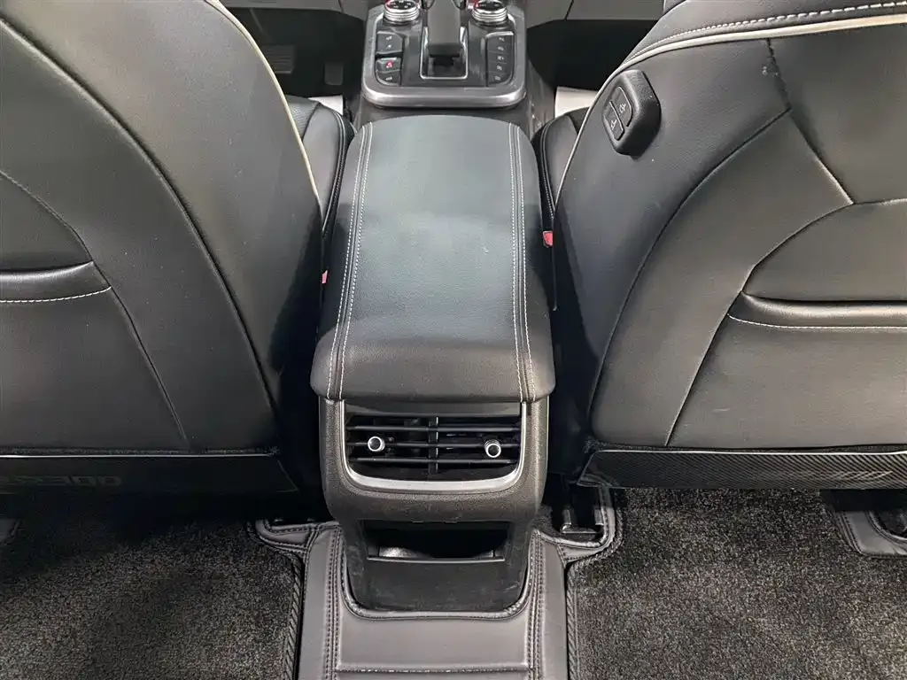 [object Object] Tank 300 2021 из CN, фото 4