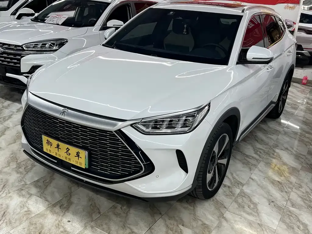 BYD PLUS New Energy 2023 из CN, фото 1