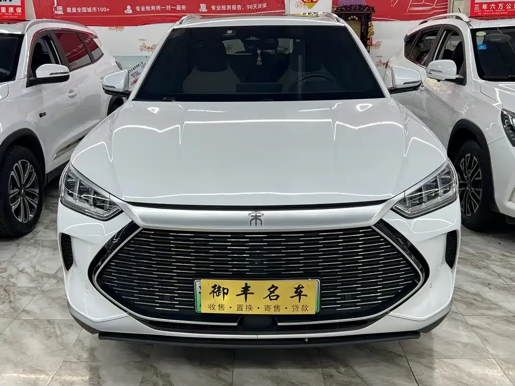 BYD PLUS New Energy 2023 из CN, фото 2