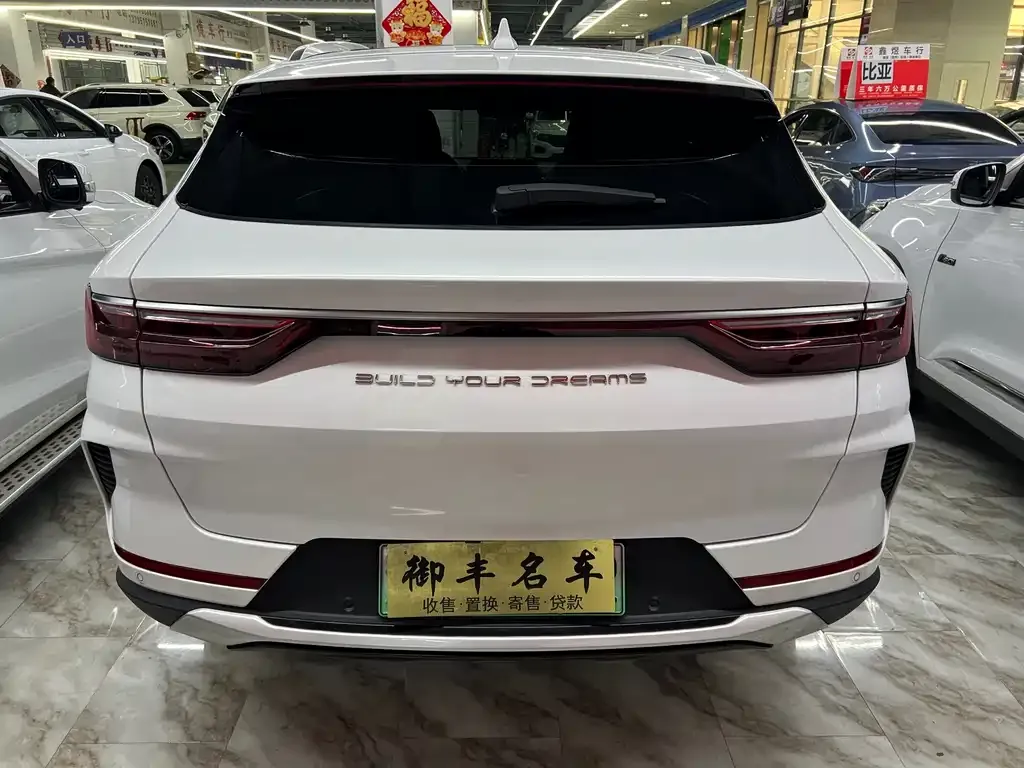 BYD PLUS New Energy 2023 из CN, фото 5