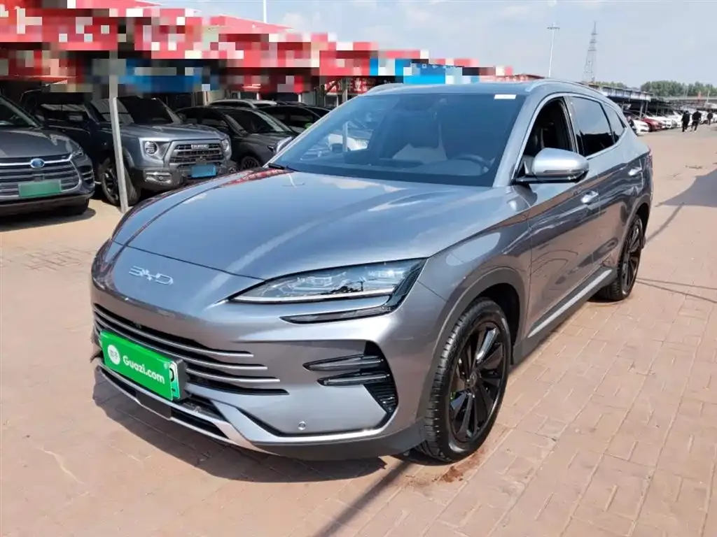 BYD PLUS New Energy 2024 из CN, фото 1