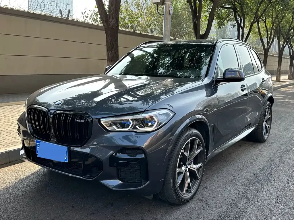 BMW X5 (Import) 2021 из CN, фото 1