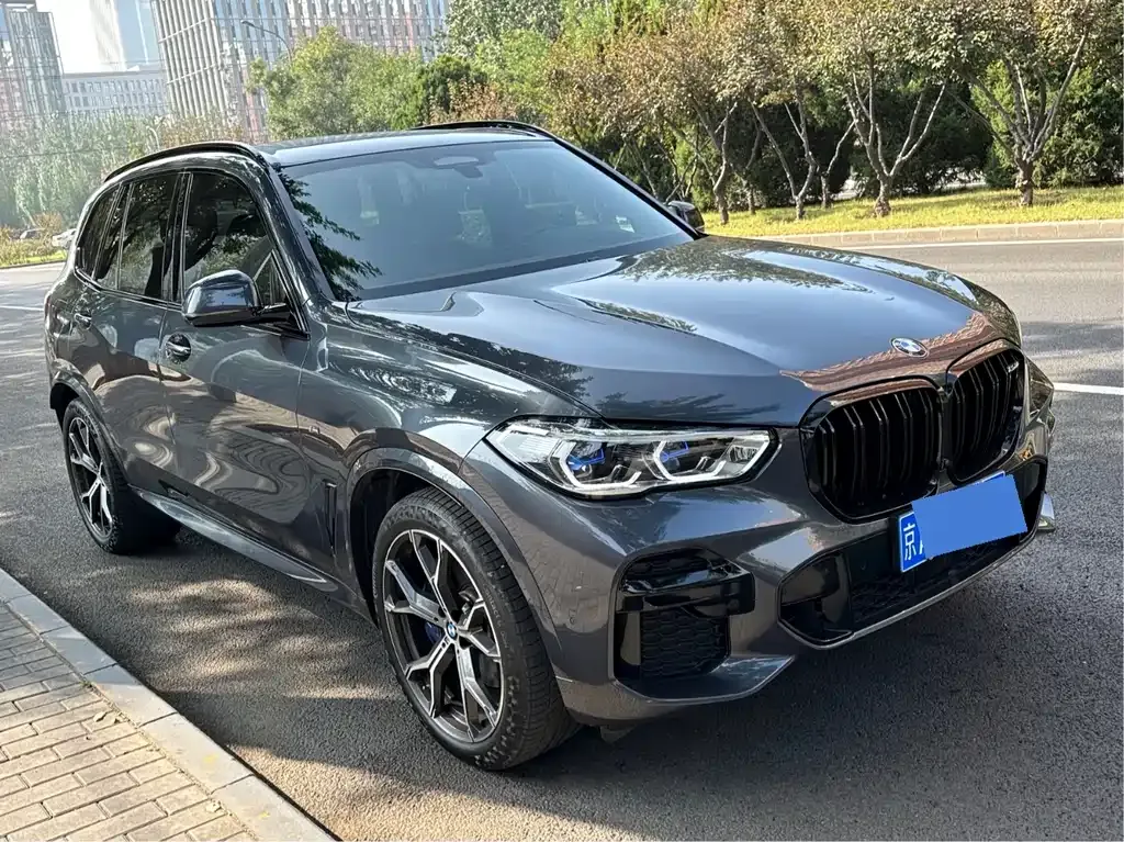 BMW X5 (Import) 2021 из CN, фото 3