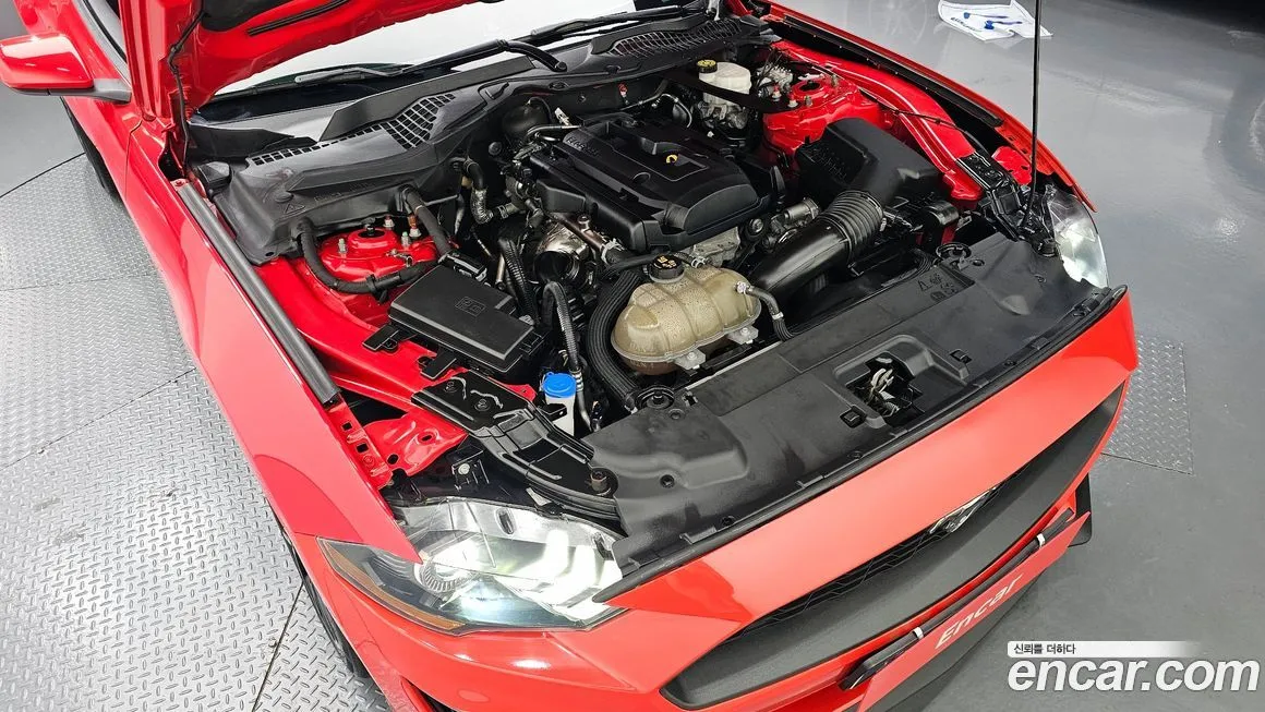 Ford Mustang 2021 из KR, фото 6