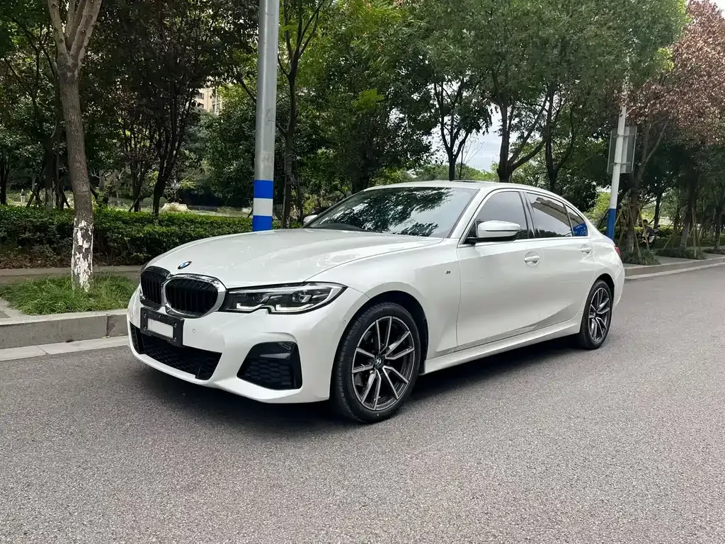 BMW 3 Series 2021 из CN, фото 1