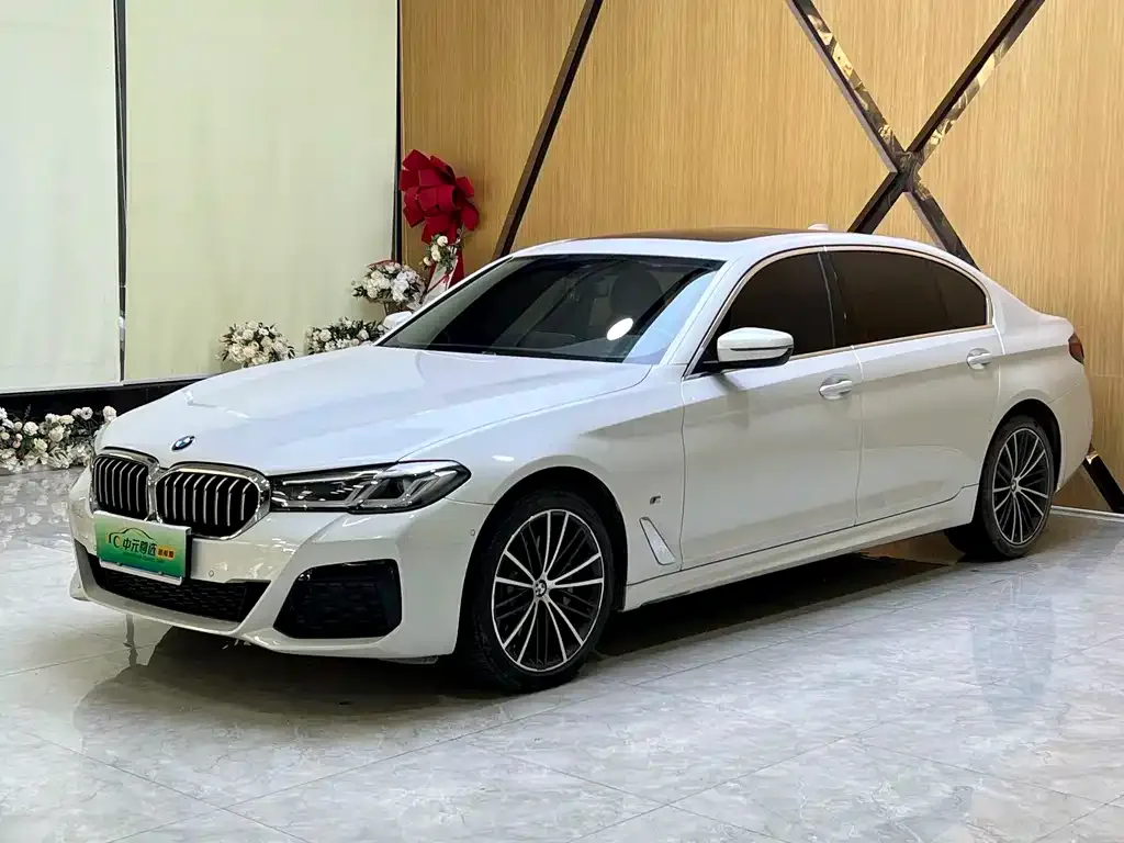 BMW 5 Series 2023 из CN, фото 1
