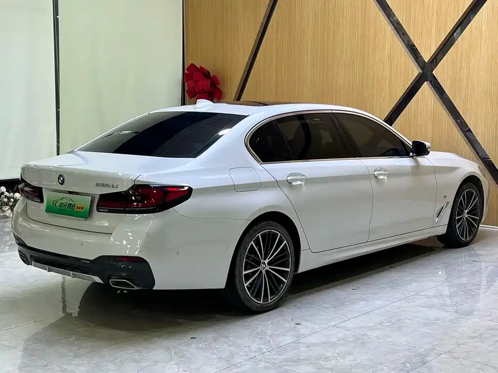BMW 5 Series 2023 из CN, фото 10