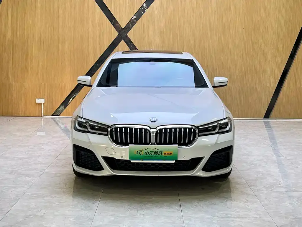 BMW 5 Series 2023 из CN, фото 2