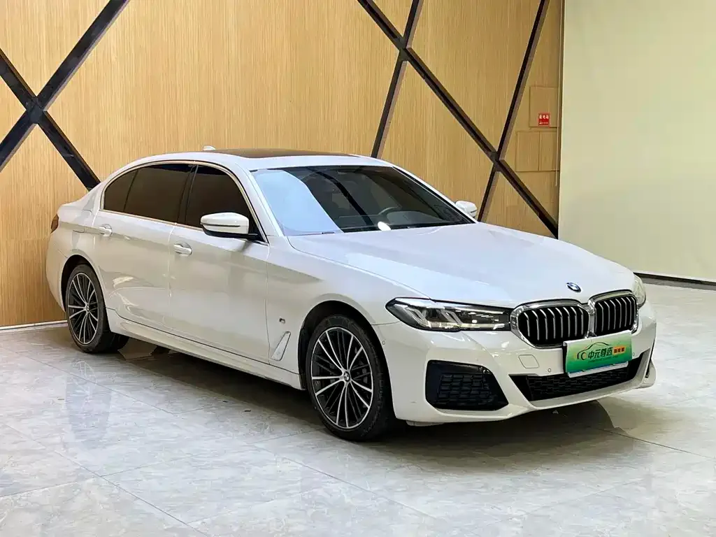 BMW 5 Series 2023 из CN, фото 3