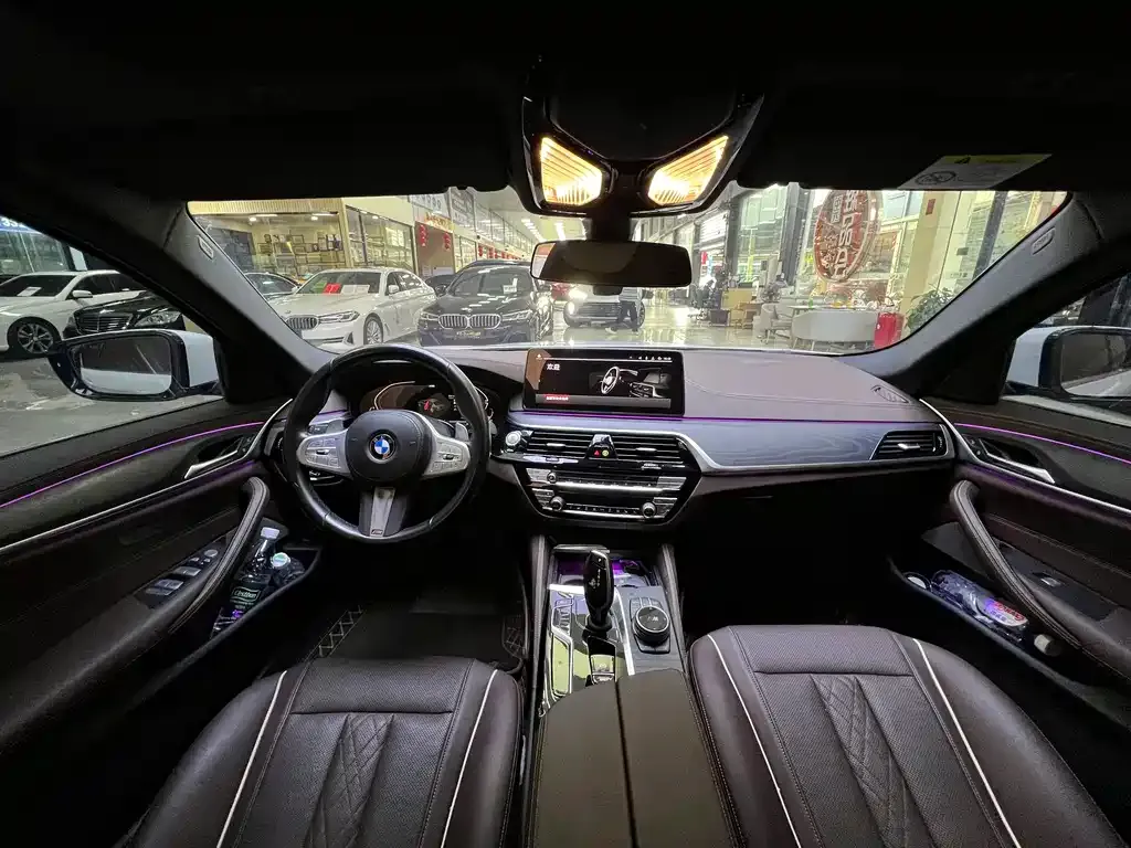 BMW 5 Series 2023 из CN, фото 9