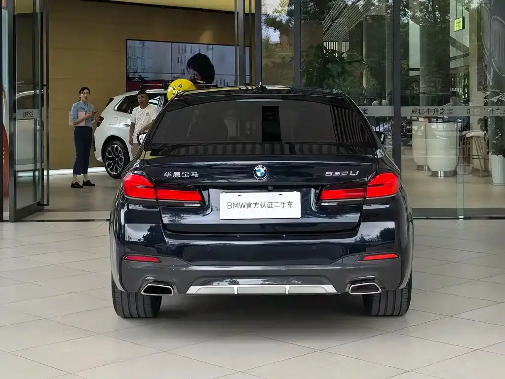 BMW 5 Series 2023 из CN, фото 4
