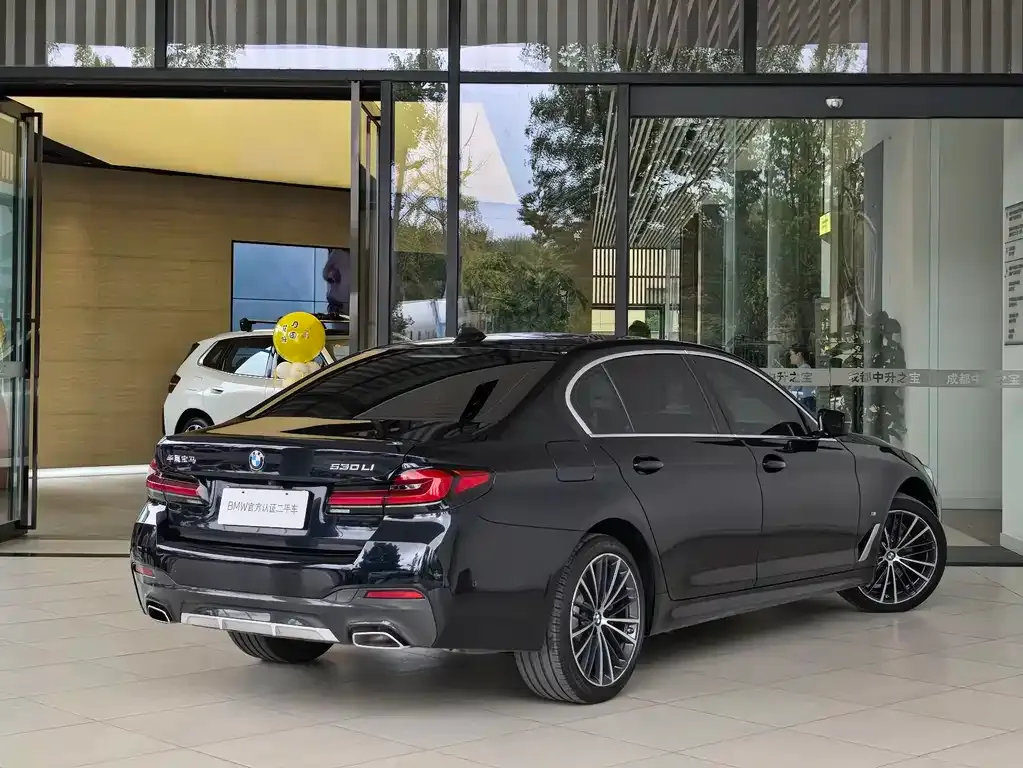 BMW 5 Series 2023 из CN, фото 5