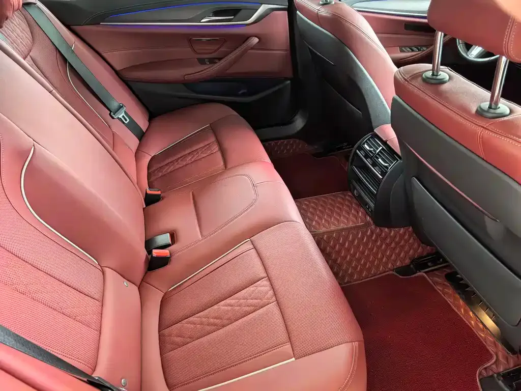 BMW 5 Series 2023 из CN, фото 7