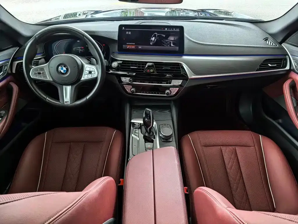 BMW 5 Series 2023 из CN, фото 8