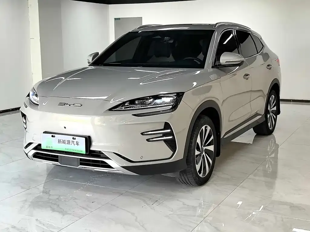 BYD PLUS New Energy — фото 1