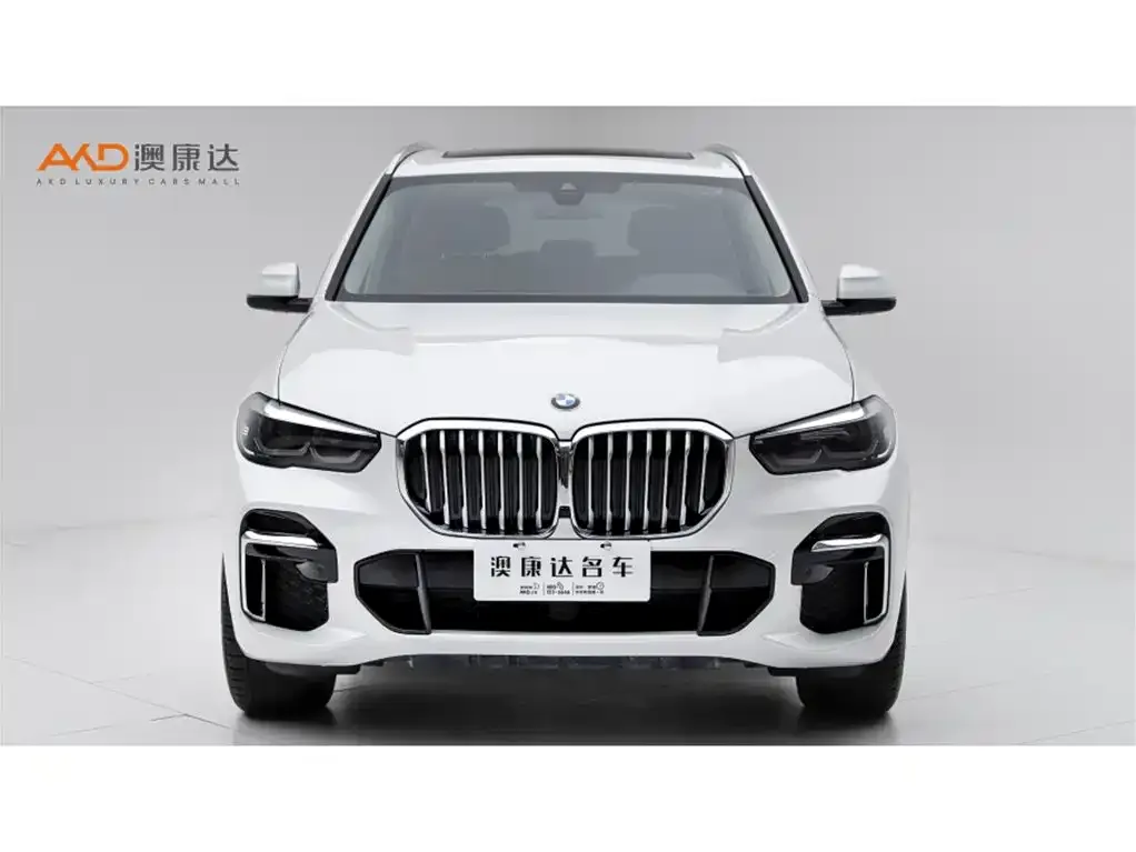 [object Object] X5 2023 из CN, фото 2