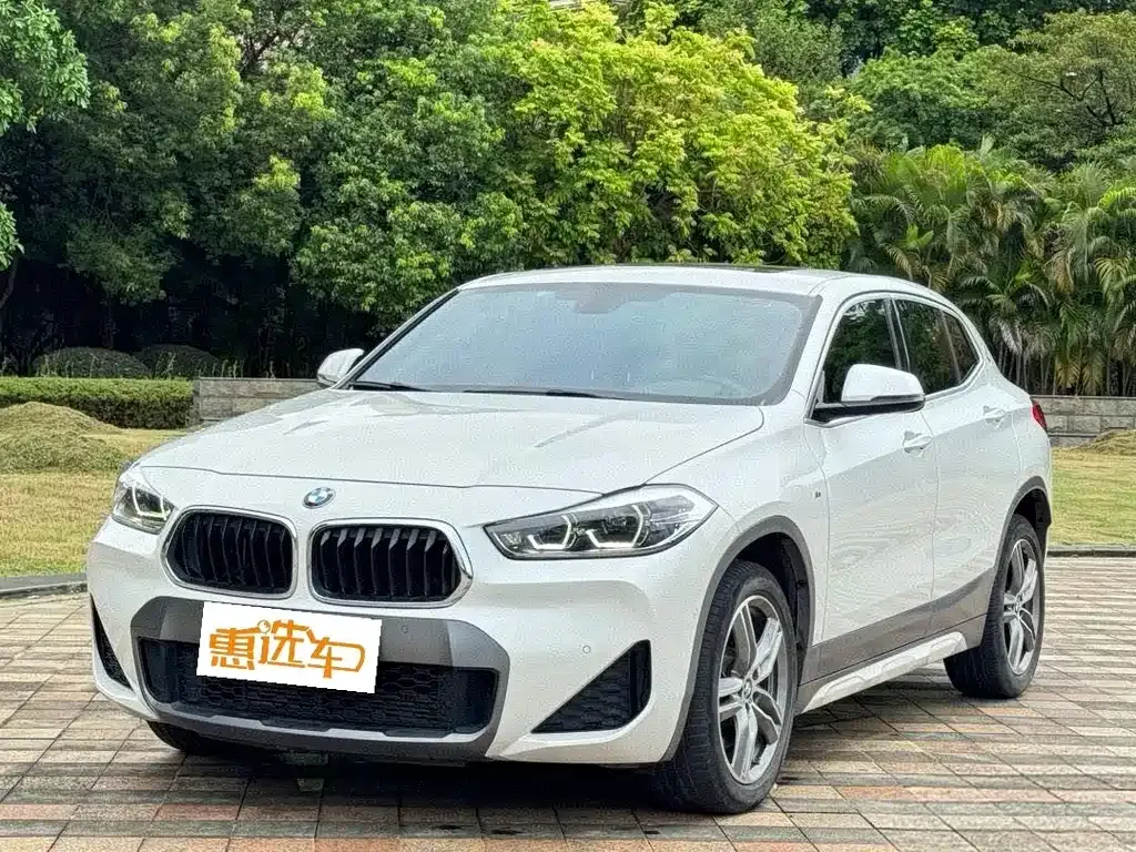 BMW X2 2021 из CN, фото 1