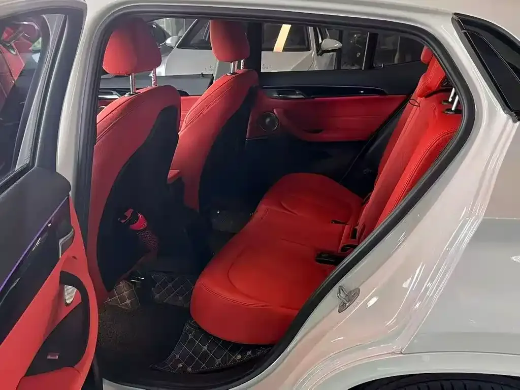 BMW X2 2021 из CN, фото 4