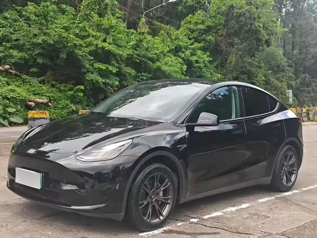 Tesla Model Y 2024 из CN, фото 1