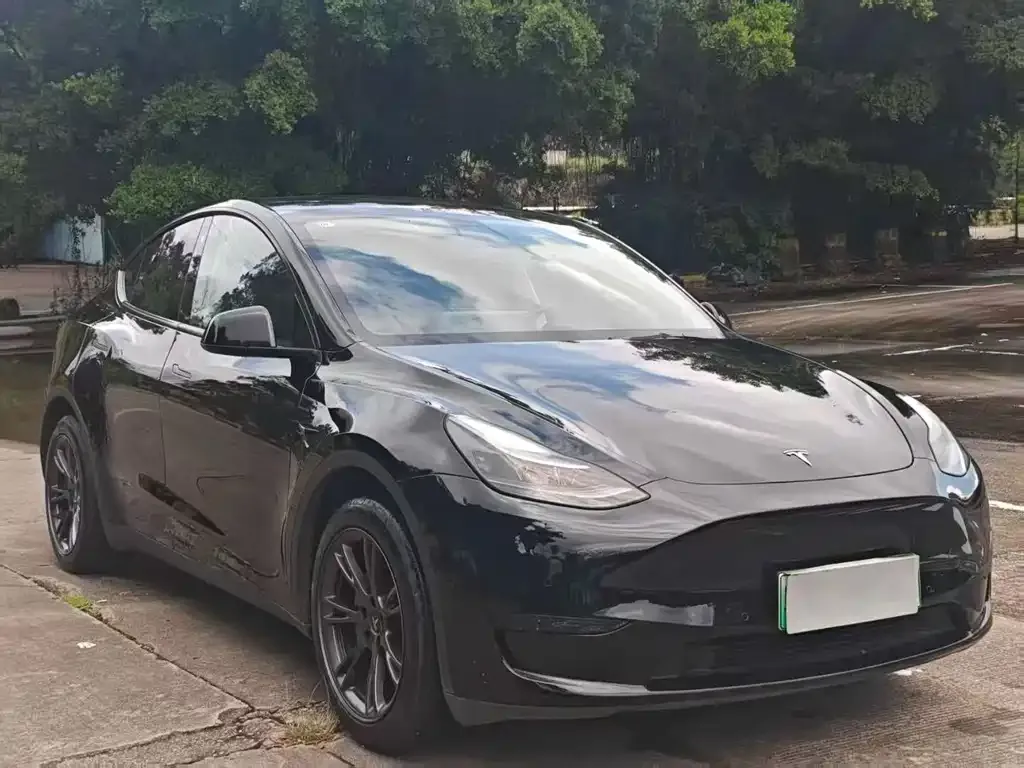 Tesla Model Y 2024 из CN, фото 2