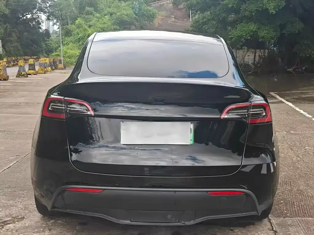 Tesla Model Y 2024 из CN, фото 8