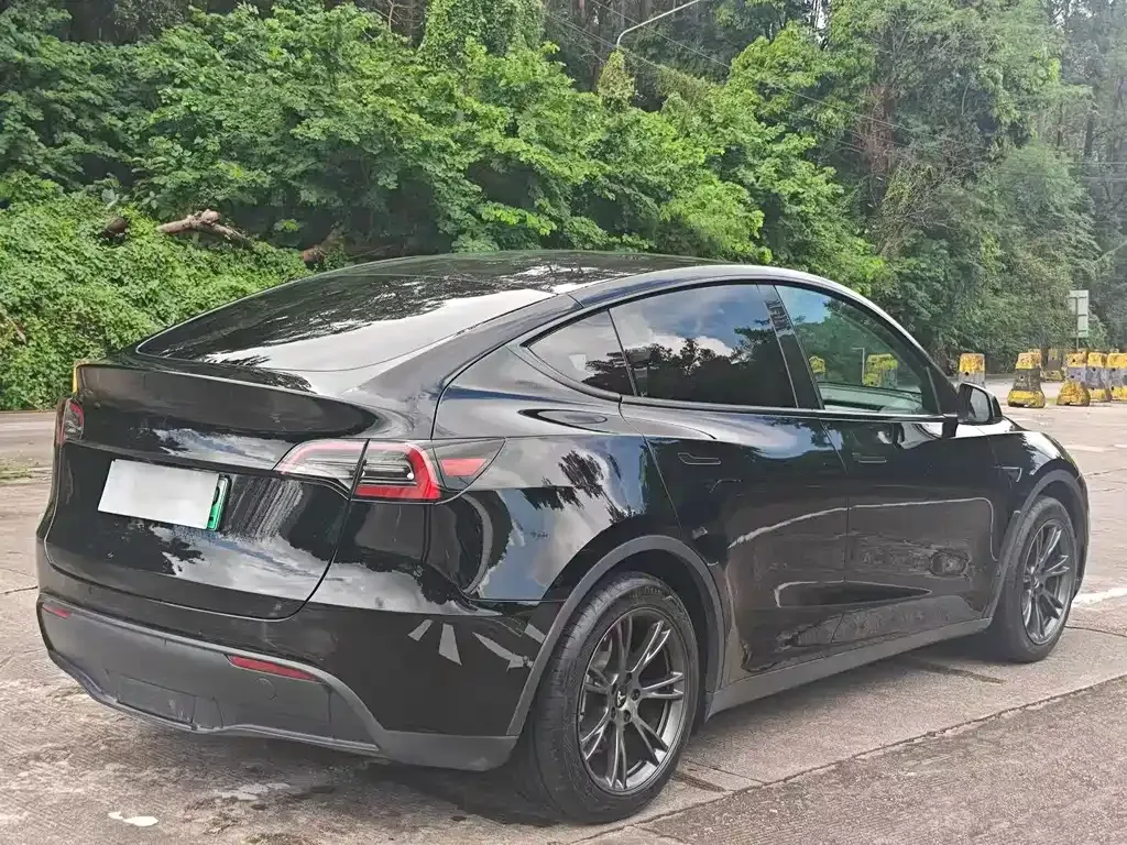 Tesla Model Y 2024 из CN, фото 9