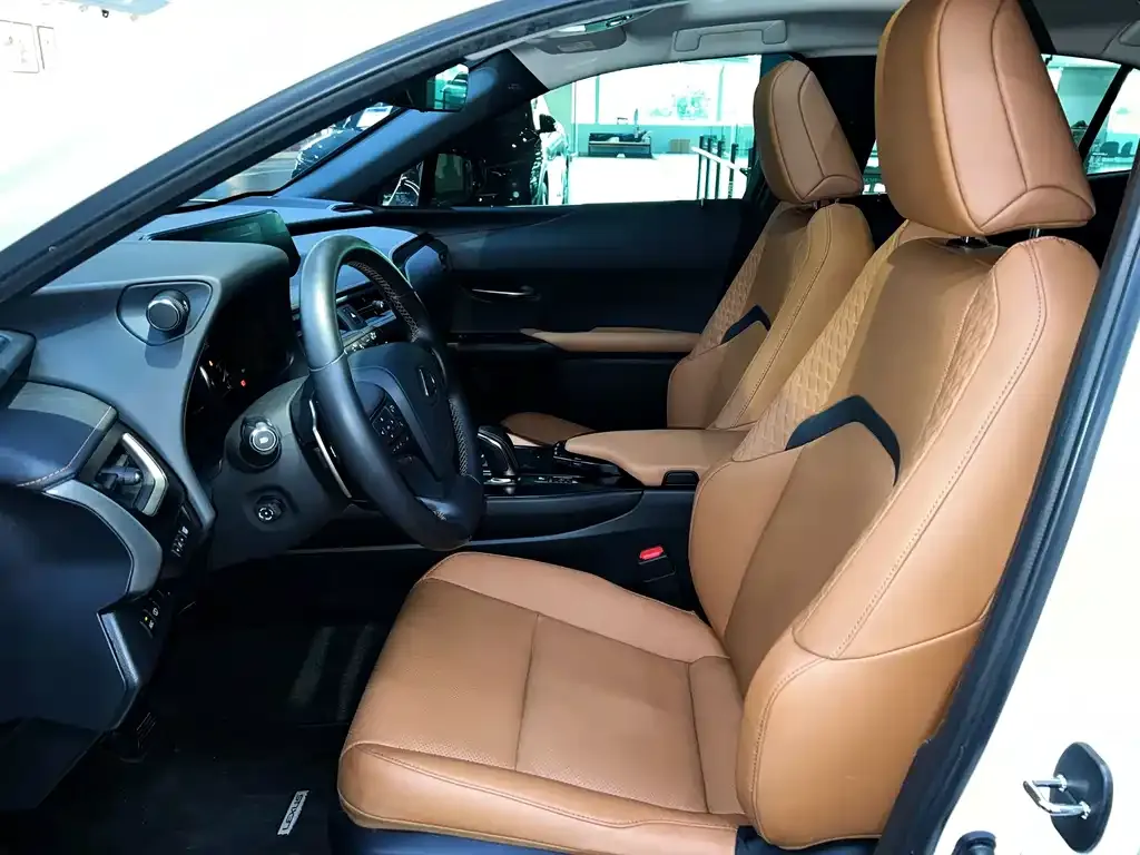 Lexus UX New Energy 2021 из CN, фото 10