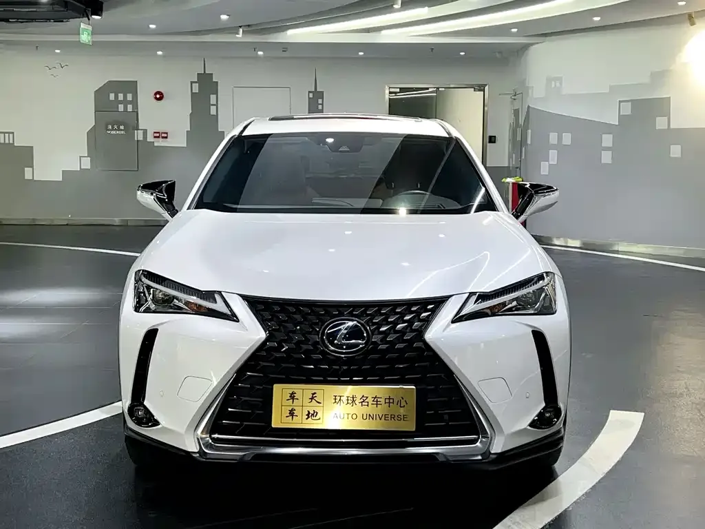 Lexus UX New Energy 2021 из CN, фото 2