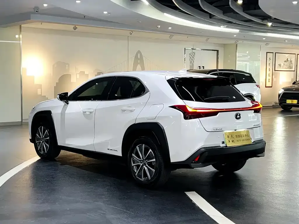 Lexus UX New Energy 2021 из CN, фото 4