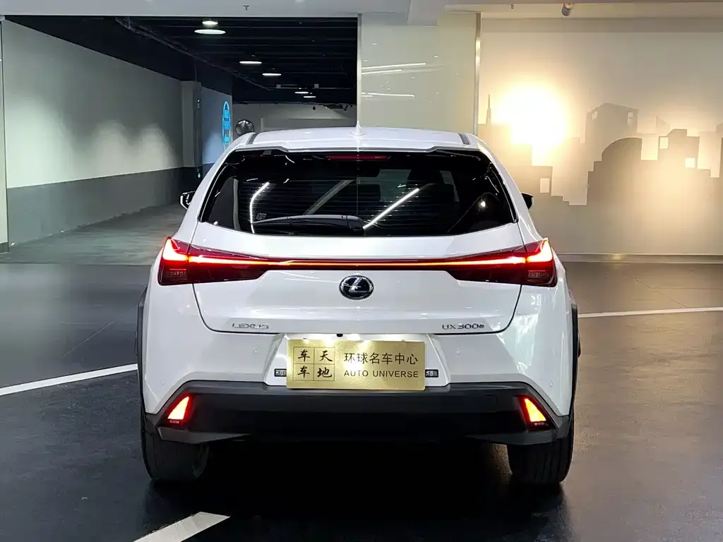 Lexus UX New Energy 2021 из CN, фото 5