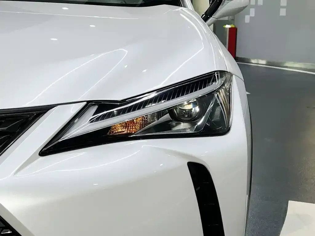 Lexus UX New Energy 2021 из CN, фото 8