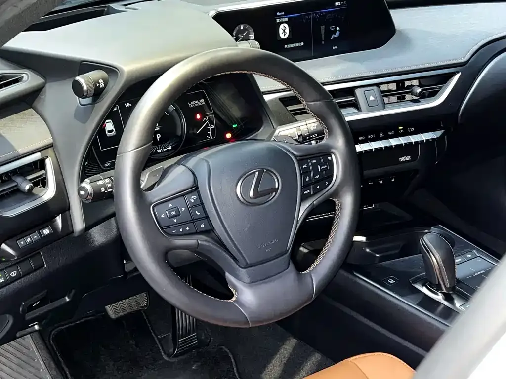 Lexus UX New Energy 2021 из CN, фото 9