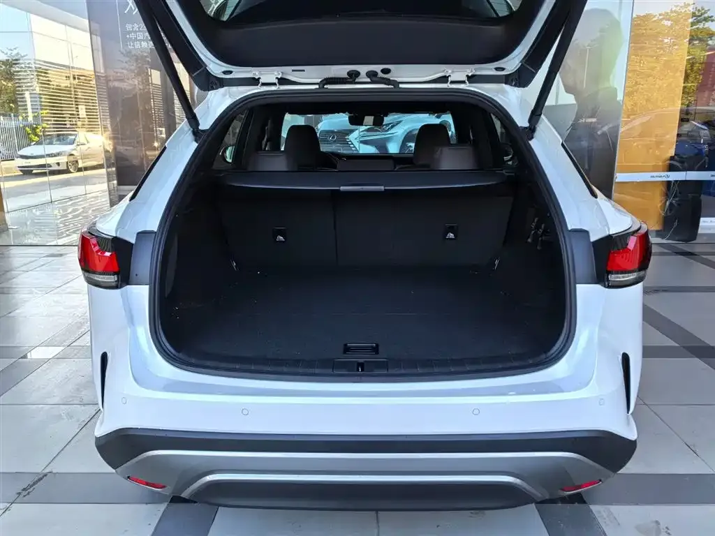 Lexus RX 2025 из CN, фото 5