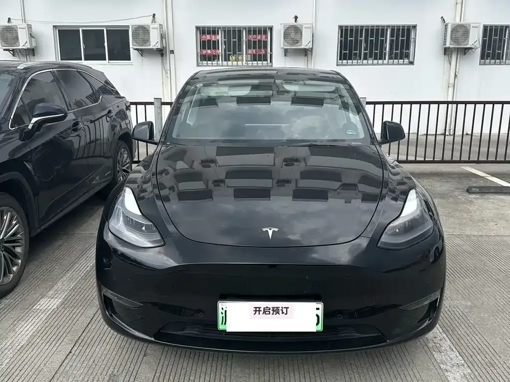 Tesla Model Y 2021 из CN, фото 1