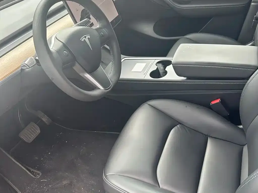 Tesla Model Y 2021 из CN, фото 2