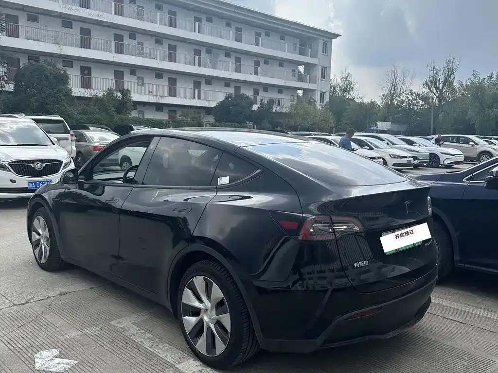 Tesla Model Y 2021 из CN, фото 5
